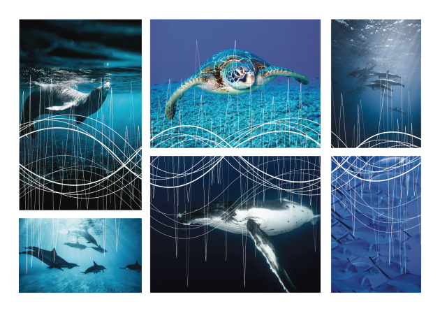 Illustration bruit sous marin